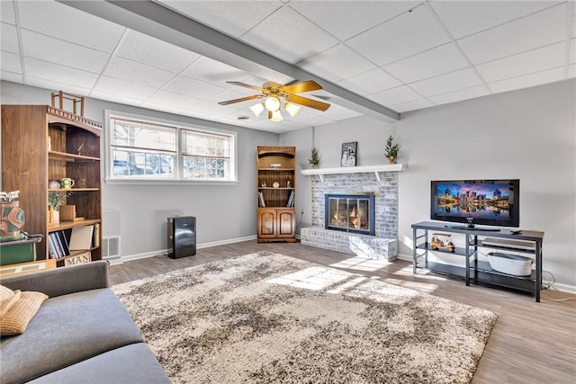 living room featuring ceiling fan, a drop ceiling, light wood-type flooring, and a fireplace