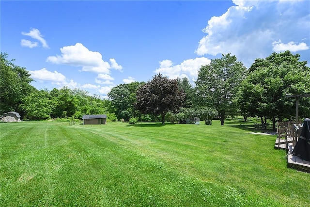 view of yard featuring a storage shed and an outdoor structure