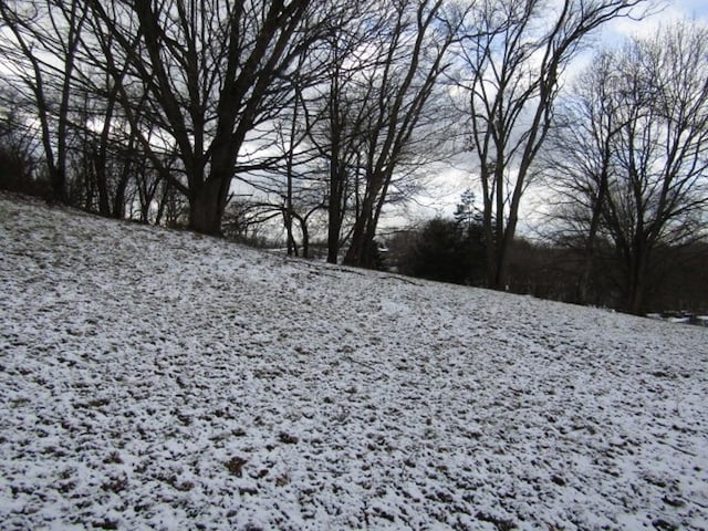 view of snowy yard