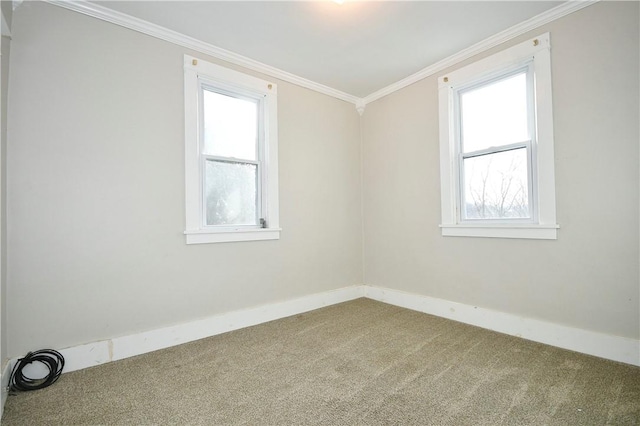 spare room with carpet floors and crown molding