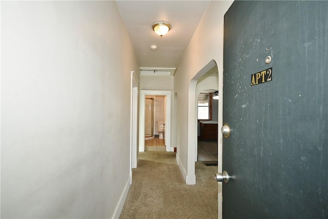 corridor featuring carpet floors