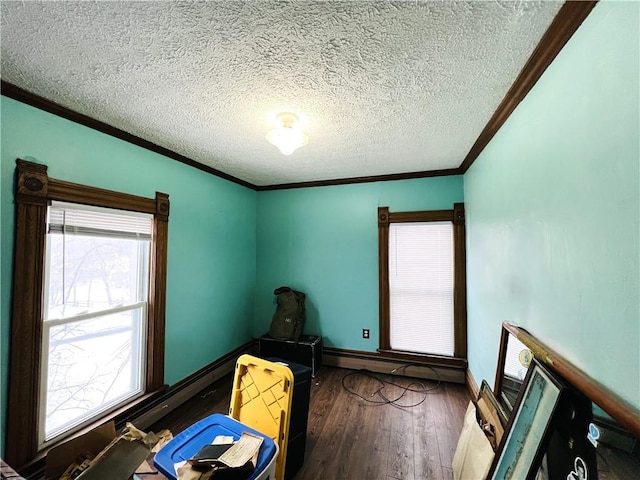 interior space featuring a textured ceiling, dark hardwood / wood-style floors, baseboard heating, and crown molding