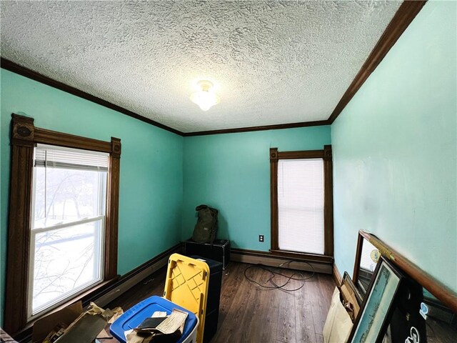 interior space featuring crown molding, dark hardwood / wood-style flooring, baseboard heating, and a textured ceiling