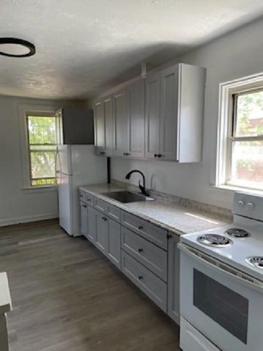 kitchen with dark hardwood / wood-style flooring, sink, gray cabinetry, and white appliances