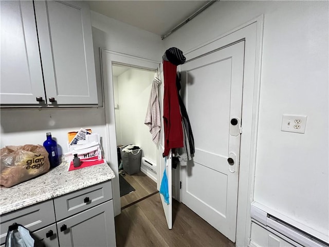 interior space featuring dark hardwood / wood-style flooring and baseboard heating