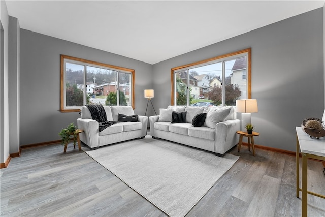 living room featuring light hardwood / wood-style flooring