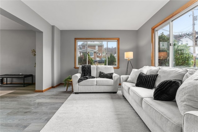 living room featuring wood-type flooring