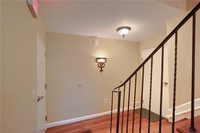 stairway with hardwood / wood-style flooring