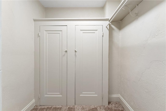 walk in closet with carpet flooring