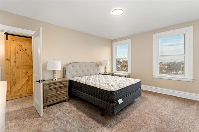 bedroom with radiator heating unit and light colored carpet