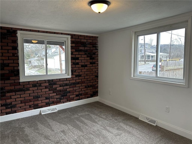 empty room with a healthy amount of sunlight, carpet floors, a textured ceiling, and brick wall