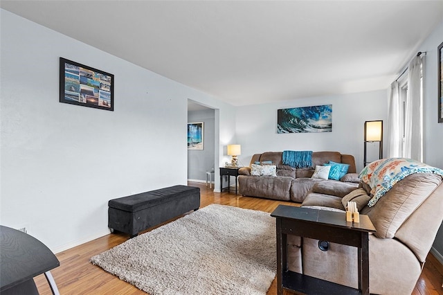 living room featuring hardwood / wood-style flooring