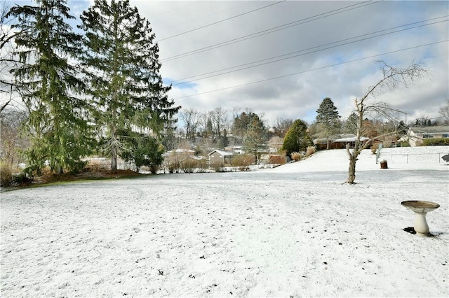 view of yard layered in snow