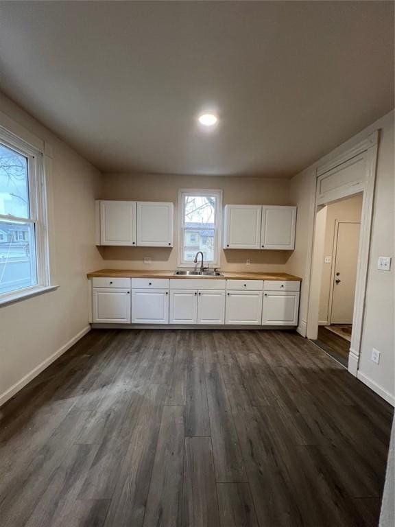 kitchen with white cabinets, dark hardwood / wood-style floors, and sink