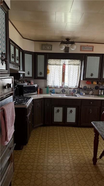 kitchen with dark brown cabinetry, sink, and appliances with stainless steel finishes