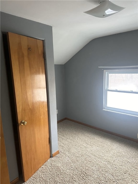 additional living space featuring carpet and lofted ceiling