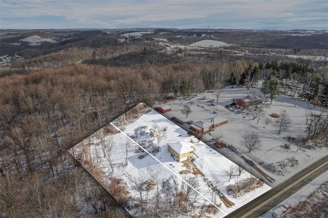 view of snowy aerial view