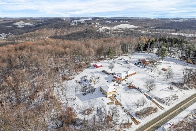 view of snowy aerial view