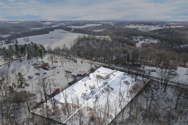 view of snowy aerial view