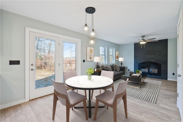 dining space featuring a large fireplace, light hardwood / wood-style floors, and ceiling fan