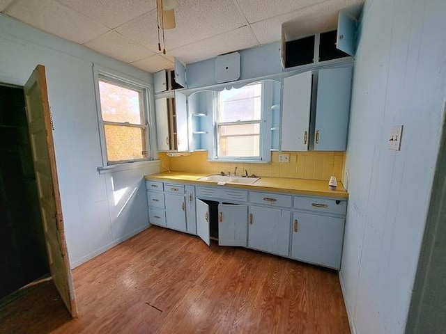 kitchen featuring a paneled ceiling, a healthy amount of sunlight, light wood-type flooring, and sink