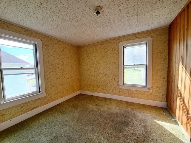 carpeted spare room with wood walls