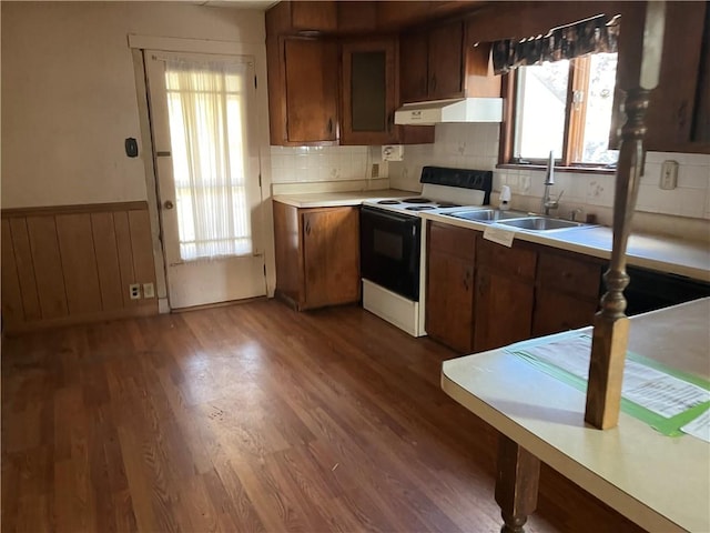 kitchen featuring dark hardwood / wood-style flooring, sink, range with electric stovetop, and decorative backsplash