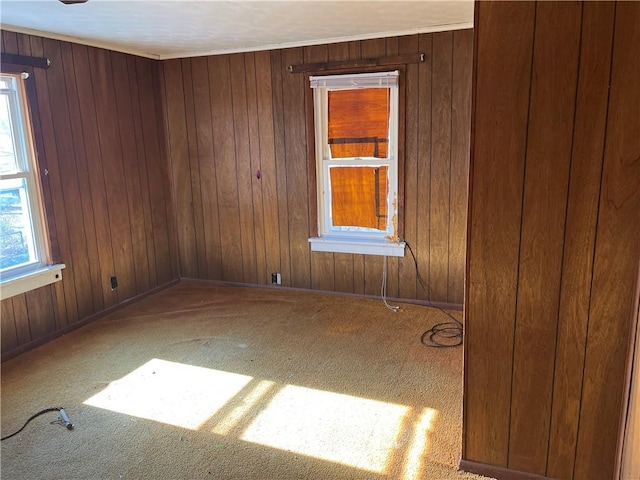 empty room featuring carpet and wood walls