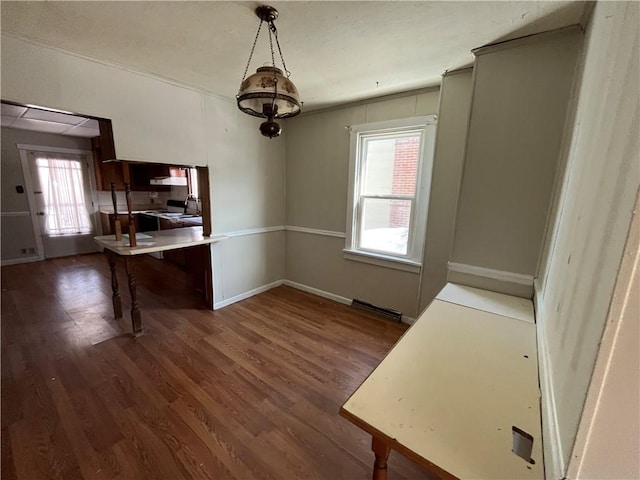 unfurnished dining area featuring baseboards, a wealth of natural light, and dark wood finished floors