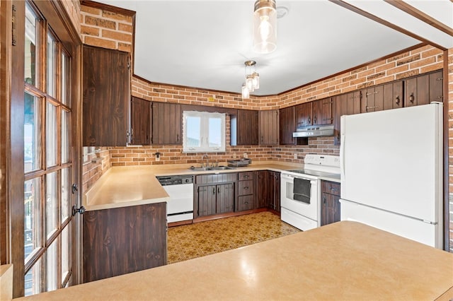 kitchen featuring plenty of natural light, dark brown cabinets, white appliances, and sink