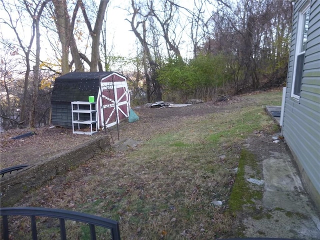 view of yard with a shed