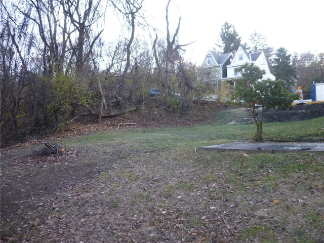 578 Blessing St, Hill District, PA 15213 - view of yard