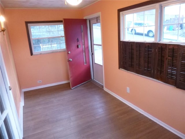 doorway featuring hardwood / wood-style flooring