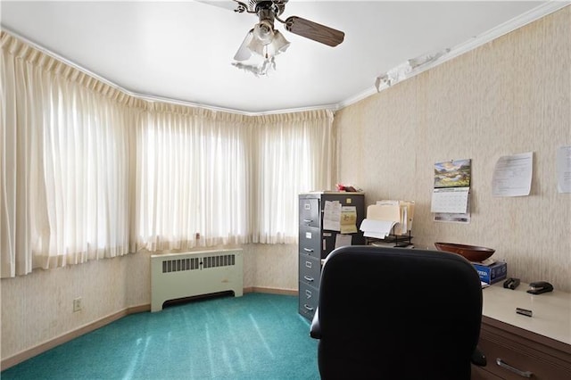 carpeted home office with radiator, plenty of natural light, ornamental molding, and ceiling fan