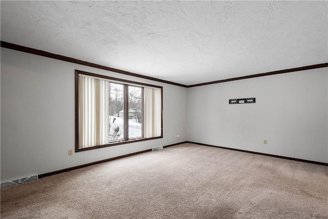 spare room with crown molding, carpet, and a textured ceiling