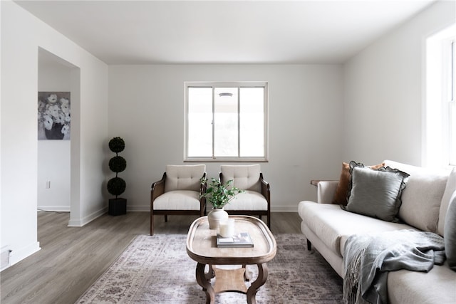 living room featuring wood-type flooring