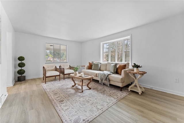 living room with light wood-type flooring and a wealth of natural light