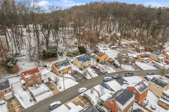 view of snowy aerial view