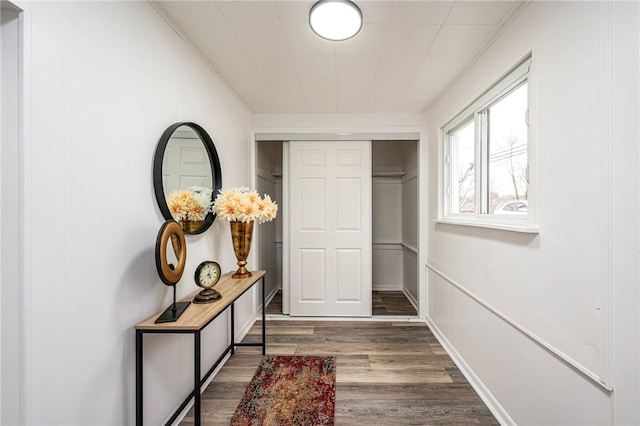 corridor featuring dark hardwood / wood-style floors and crown molding