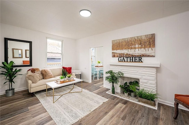 living room with a fireplace and hardwood / wood-style floors