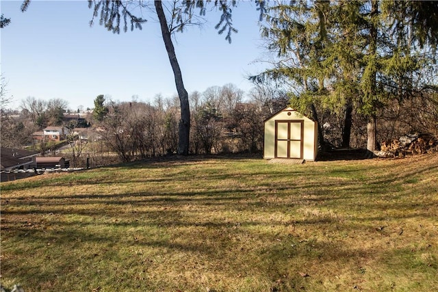 view of yard with a storage shed