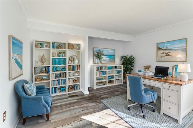 office featuring wood-type flooring and ornamental molding