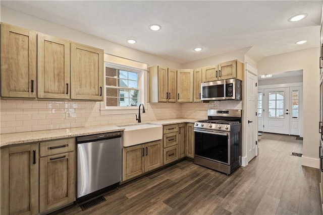 kitchen featuring a healthy amount of sunlight, dark hardwood / wood-style flooring, sink, and appliances with stainless steel finishes