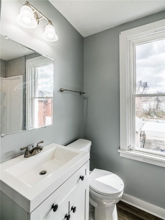 bathroom with hardwood / wood-style flooring, vanity, and a healthy amount of sunlight