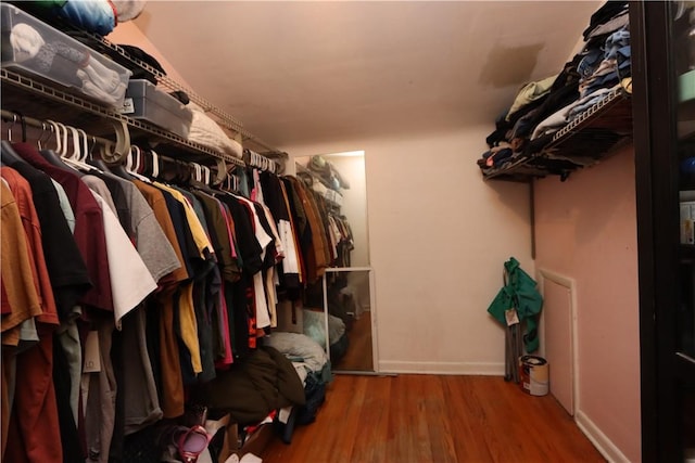 walk in closet featuring hardwood / wood-style flooring