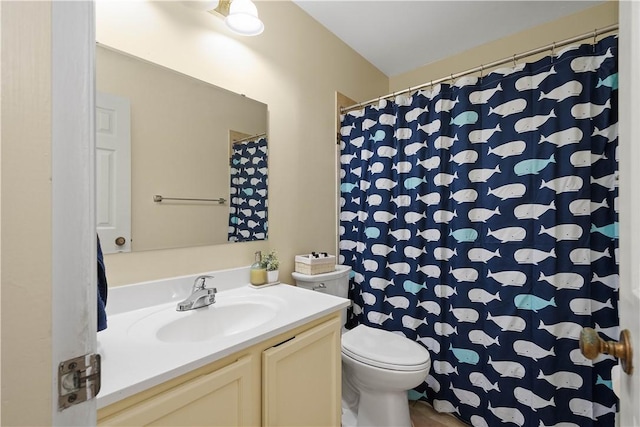 bathroom with vanity and toilet