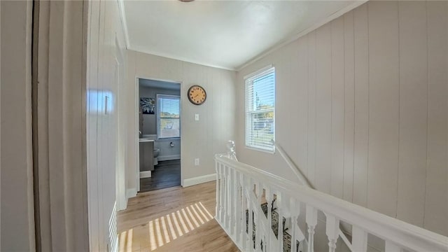 hallway featuring light hardwood / wood-style flooring, crown molding, and wood walls