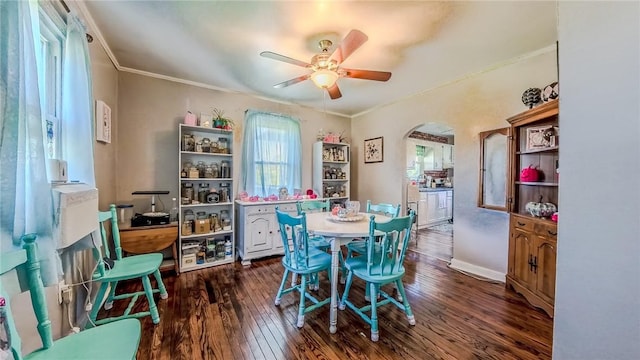 dining area with ceiling fan, dark hardwood / wood-style flooring, and crown molding