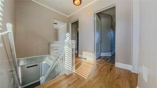 corridor featuring hardwood / wood-style floors and ornamental molding