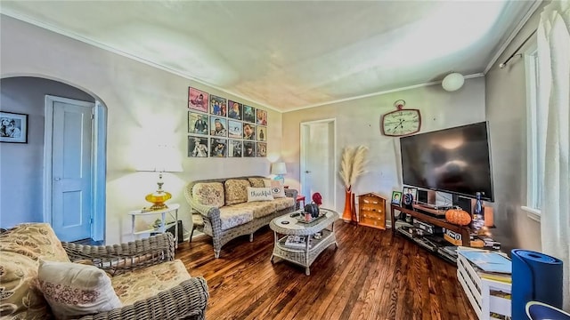 living room featuring wood-type flooring and ornamental molding